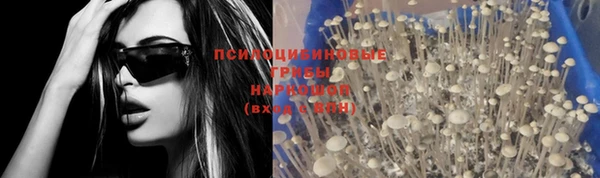 PSILOCYBIN Валуйки
