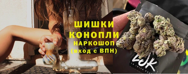 PSILOCYBIN Валуйки