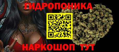 ешки Заволжье