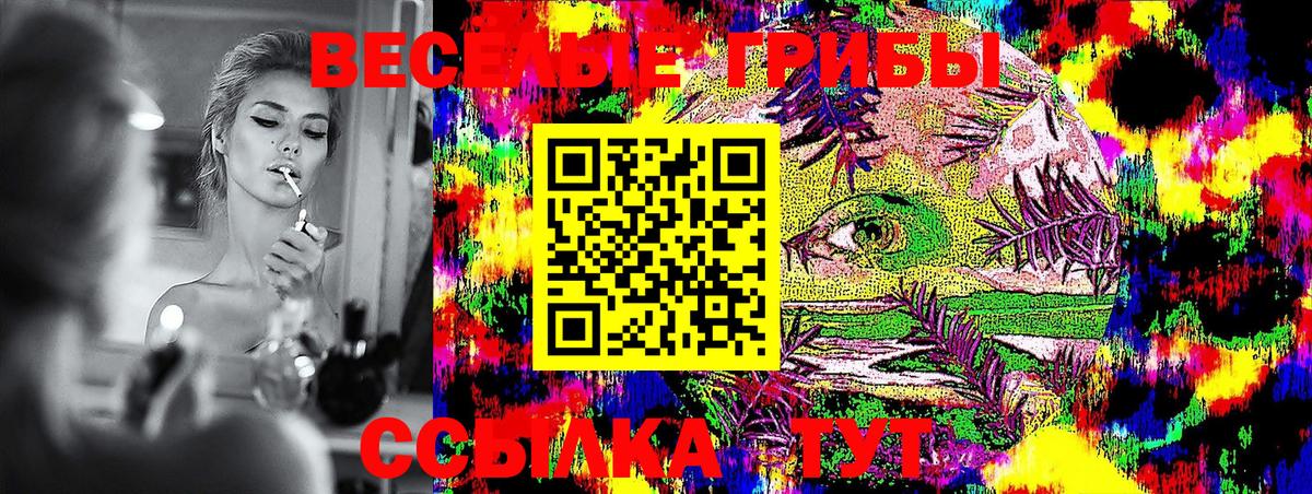 Псилоцибиновые грибы ЛСД Чистополь